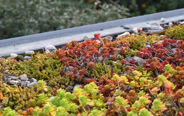 the cost of Comfort green roof installation